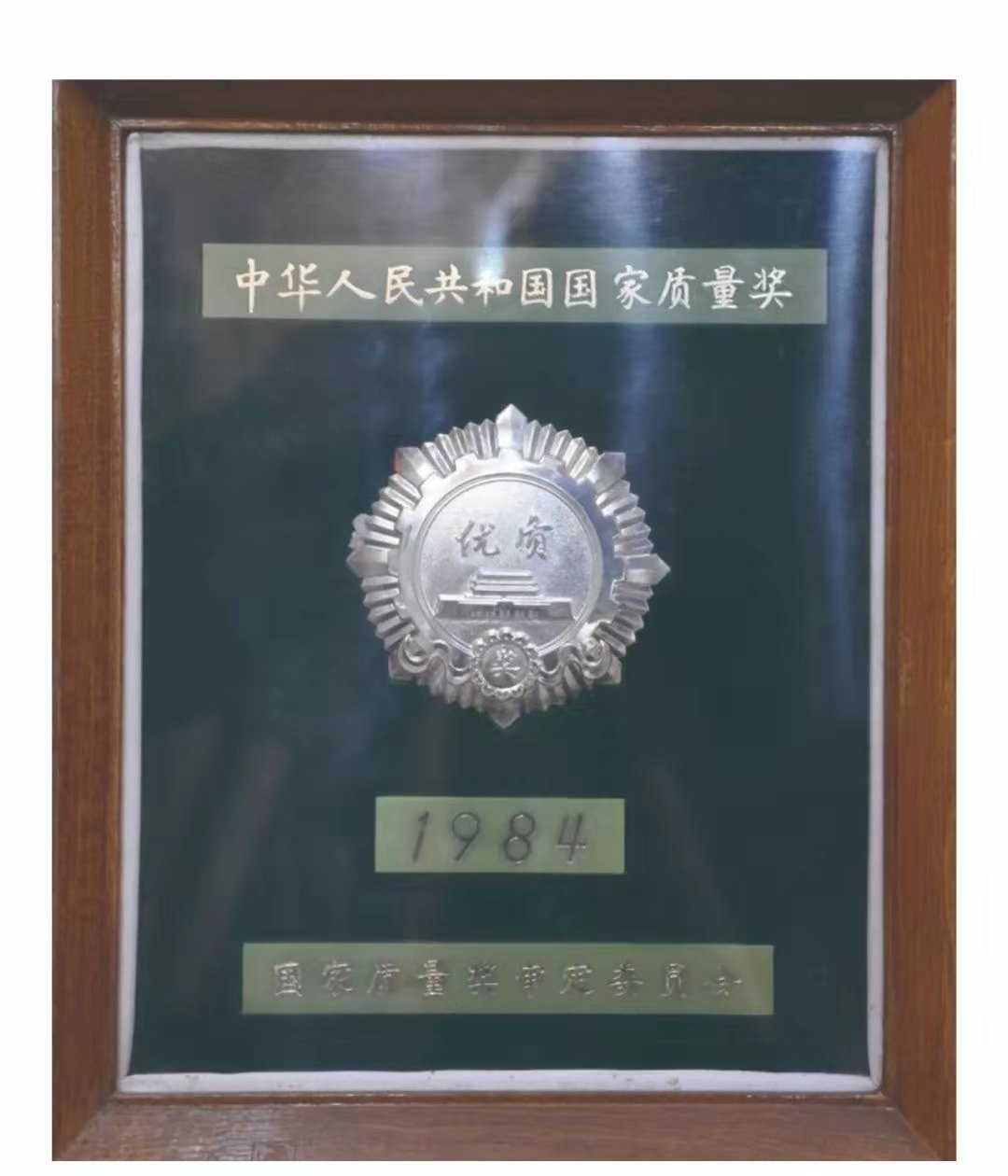 1572934570226197.jpg 5782d1d22c05b6558774f1a2ff5b1b5.jpg